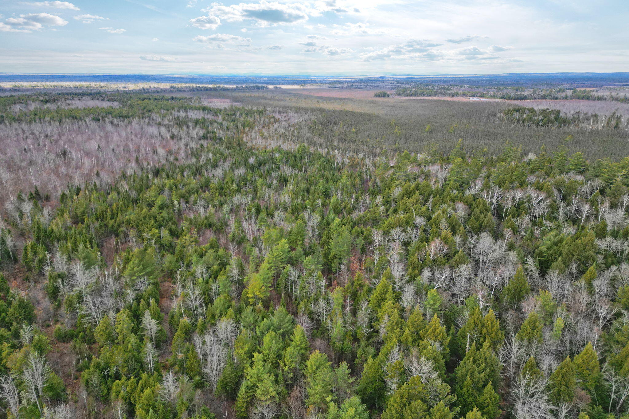 3 Map Road Old Town, ME 04468 - Photo 20 of 26 9-web-or-mls-bradford-station-rd