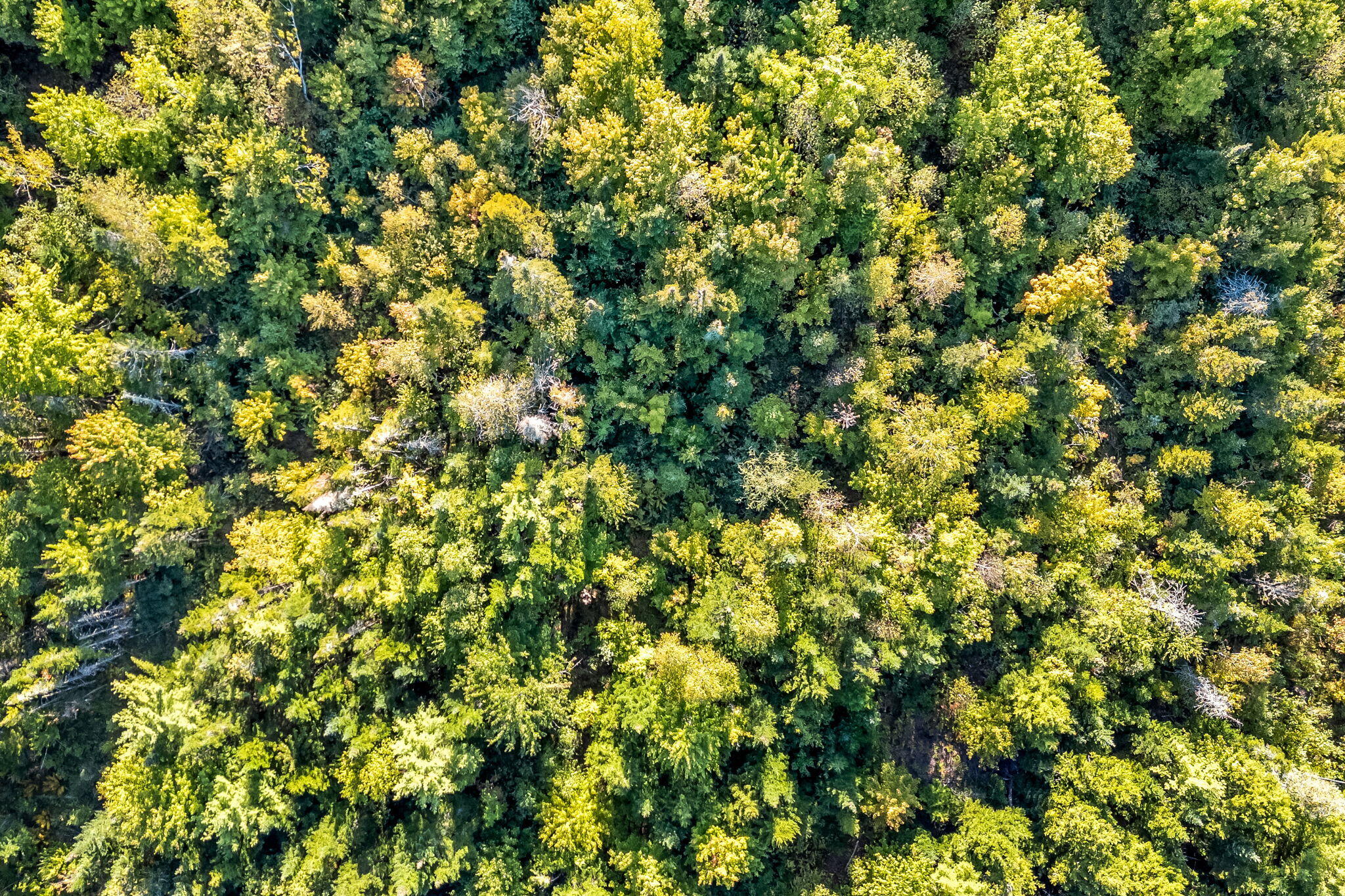 3 Map Road Old Town, ME 04468 - Photo 10 of 26 9-web-or-mls-bradford-station-rd