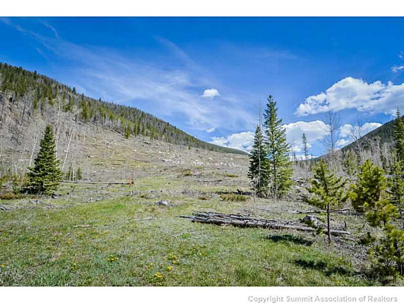 1944 Soda Ridge Road, Unit 1229 Keystone, CO 80435 - Photo 17 of 17 a view of a garden