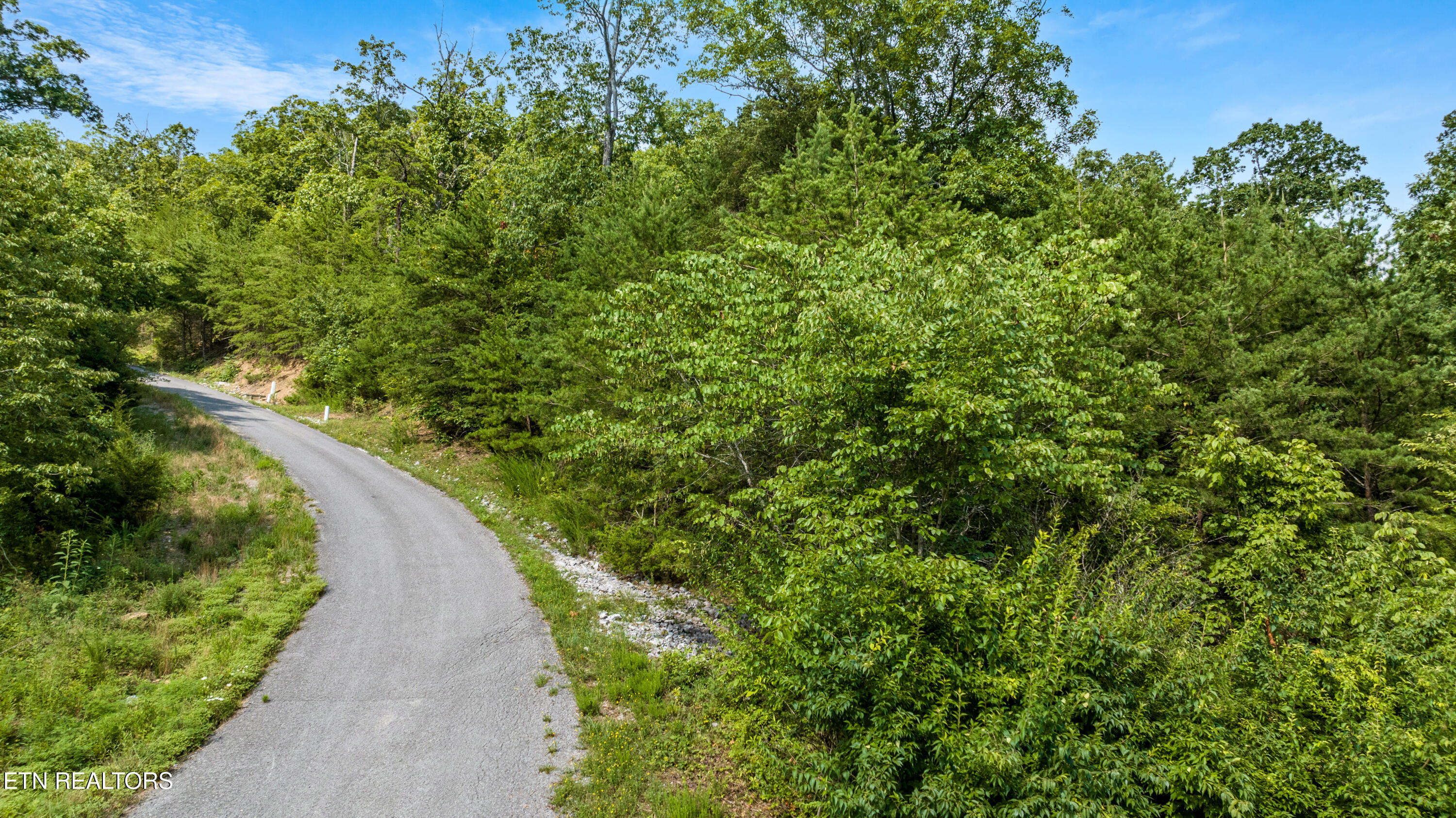 Russell Brothers Road Sharps Chapel, TN 37866 - Photo 11 of 12 DJI_0688-HDR