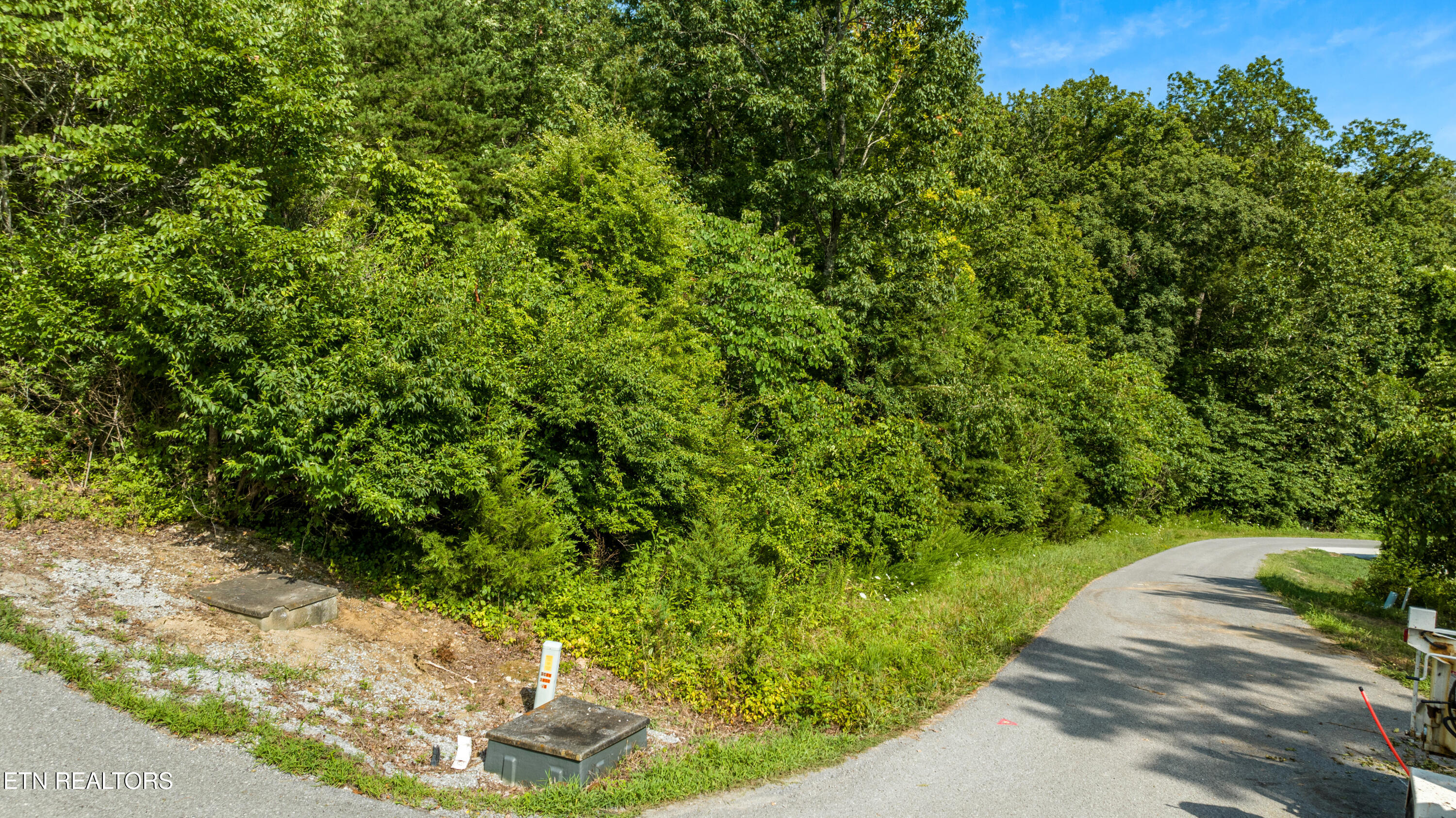 Russell Brothers Road Sharps Chapel, TN 37866 - Photo 12 of 12 DJI_0698-HDR