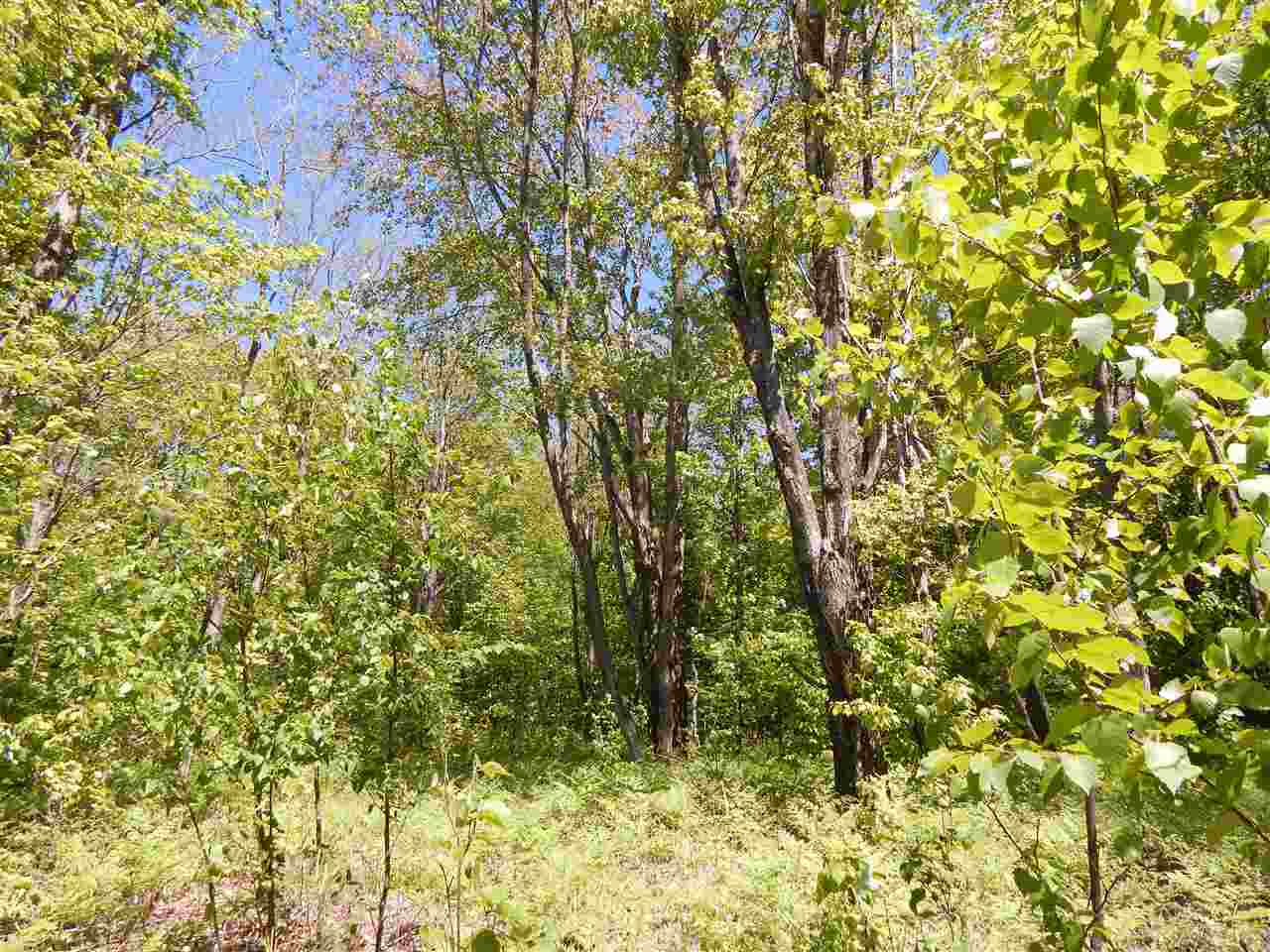 2434 Low Highrolloway Road Manistique, MI 49854 - Photo 74 of 96 1802122-74.JPG