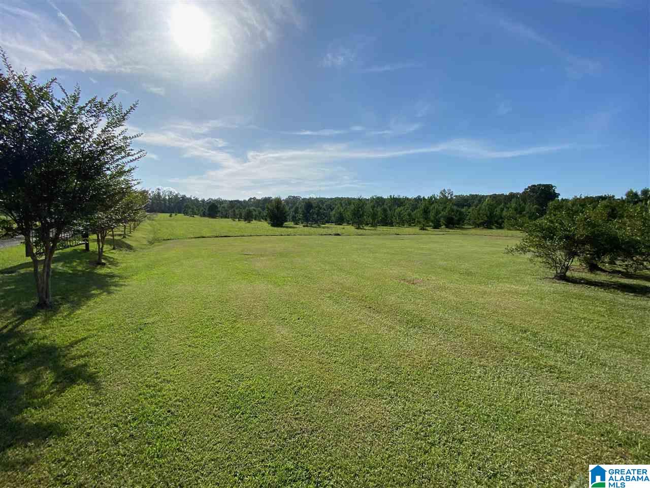 8321 Mill Creek Road Dora, AL 35062 - Photo 43 of 49