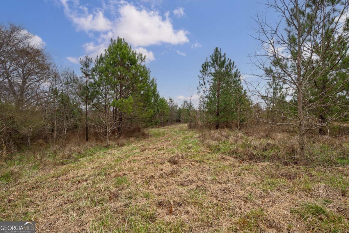 Tract 3 High Shoals Road Bishop, GA 30621 - Photo 14 of 34