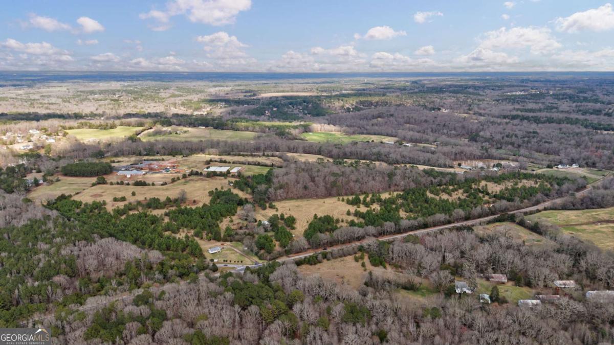Tract 3 High Shoals Road Bishop, GA 30621 - Photo 19 of 34
