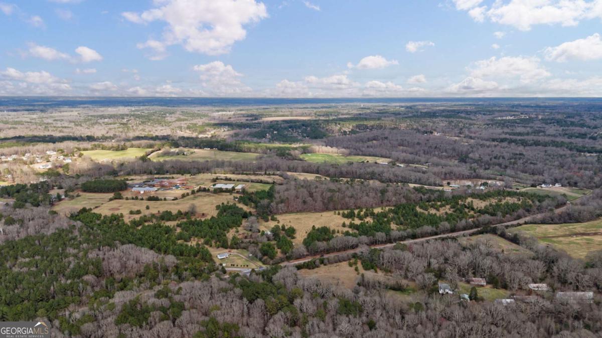 Tract 3 High Shoals Road Bishop, GA 30621 - Photo 21 of 34