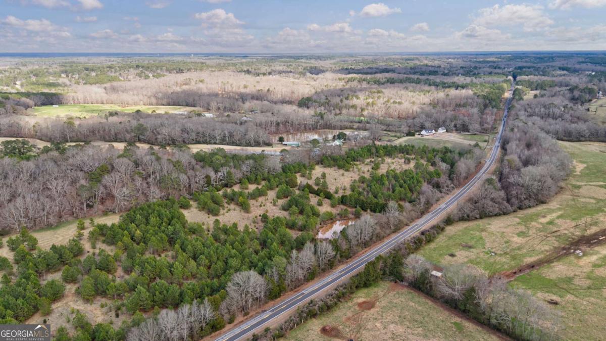 Tract 3 High Shoals Road Bishop, GA 30621 - Photo 25 of 34