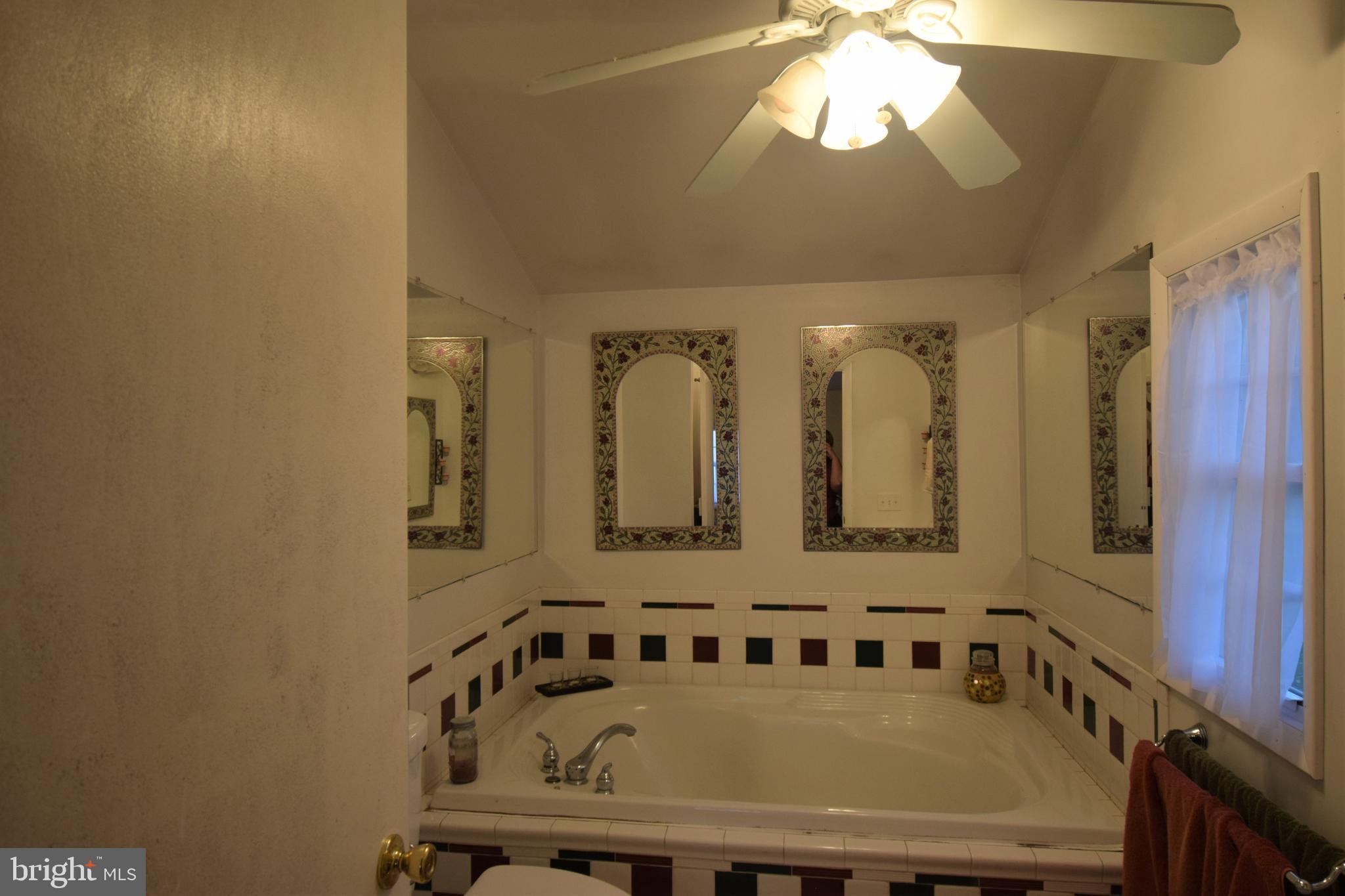 15500 Cutoff Road Henderson, MD 21640 - Photo 12 of 29 Large soaking tub