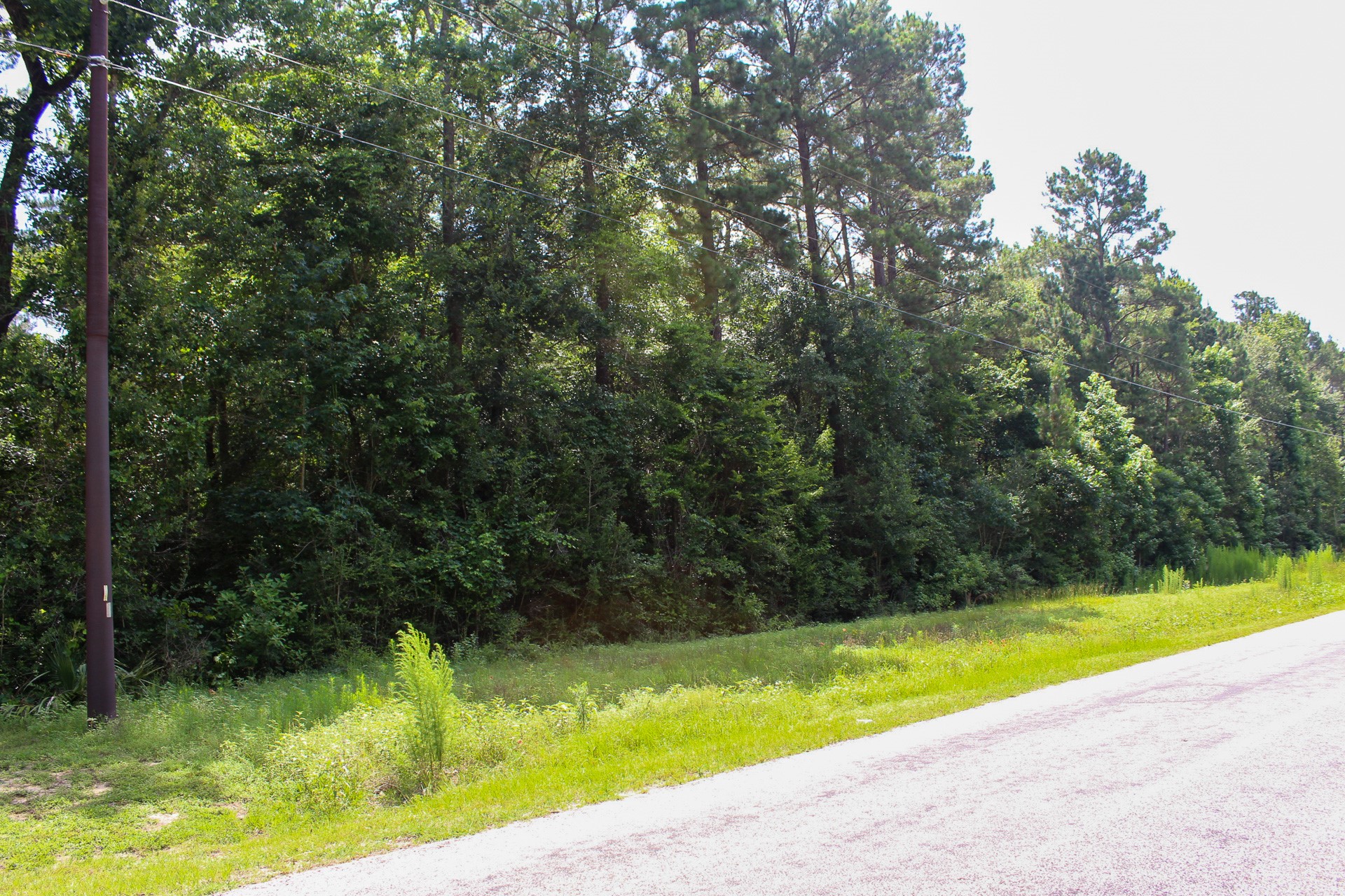 3-b-15-22 Fire Sky Road Huntsville, TX 77340 - Photo 5 of 14 Front of lot