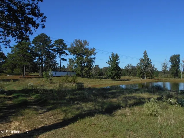$75,000 | 0 West Highway 84, Prentiss, MS 39474