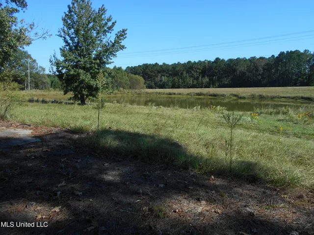 $75,000 | 0 West Highway 84, Prentiss, MS 39474