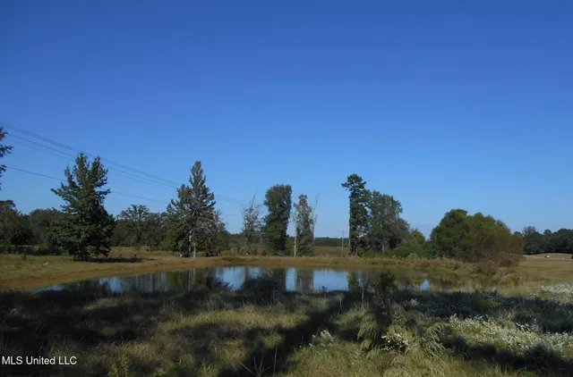 $75,000 | 0 West Highway 84, Prentiss, MS 39474