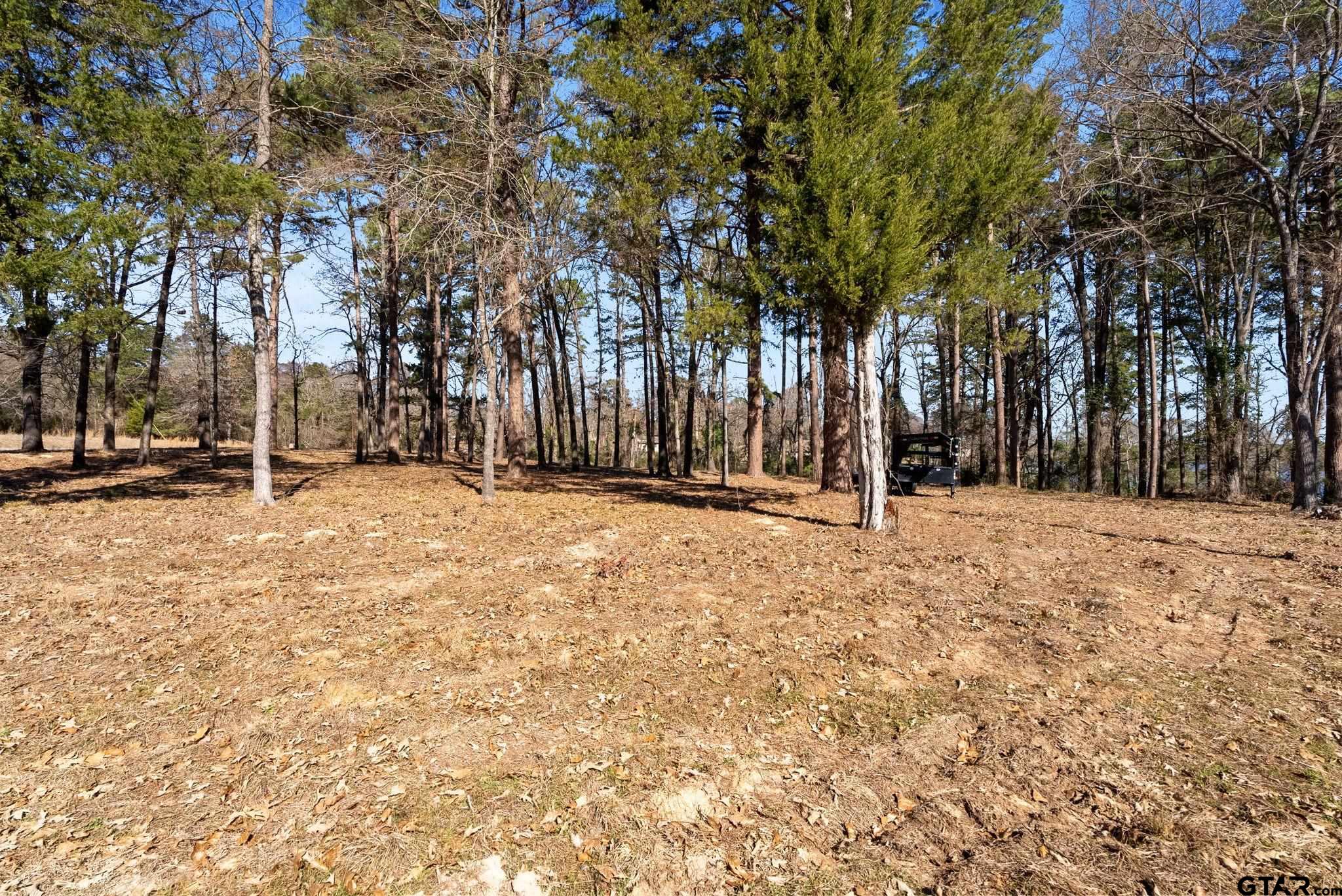 Tbd Tbd Wilson Road Tyler, TX 75707 - Photo 4 of 13