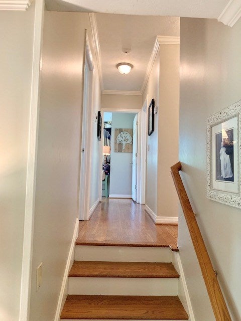 542 South Dean Road Auburn, AL 36830 - Photo 14 of 40 Gallery Image 14