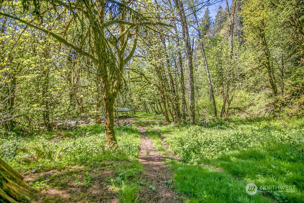 2038 Abernathy Creek Road Longview, WA 98632 - Photo 29 of 37 a view of a garden