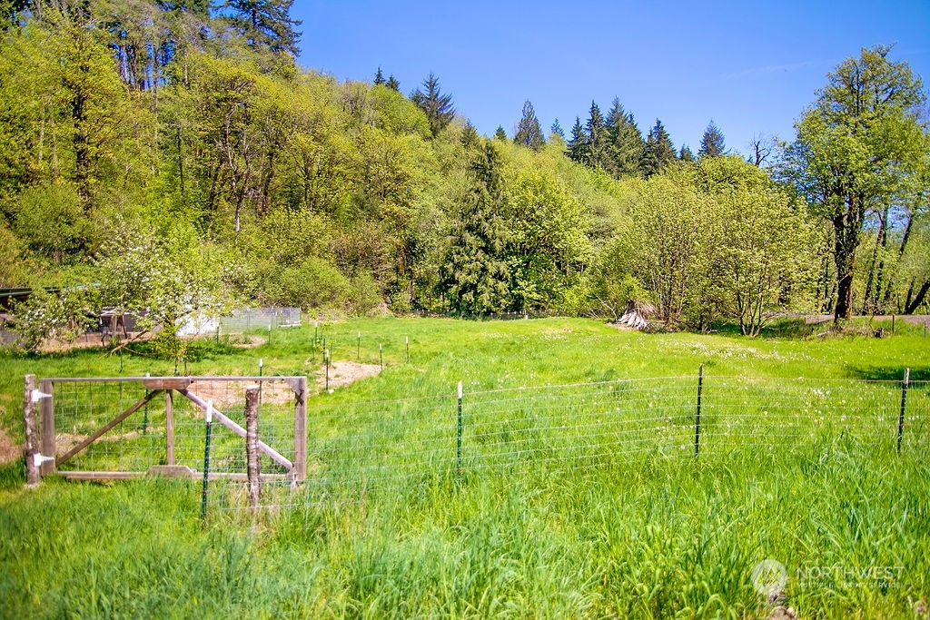 2038 Abernathy Creek Road Longview, WA 98632 - Photo 32 of 37 a view of a field with an trees