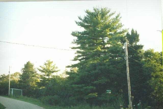 957 East Stadel Road Scales Mound, IL 61075 - Photo 3 of 6 Gallery Image 3