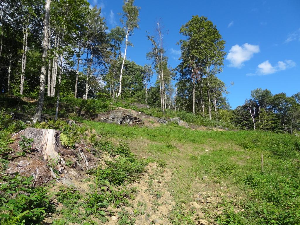 527 Baker Hill Road Bridgewater, VT 05035 - Photo 1 of 16
