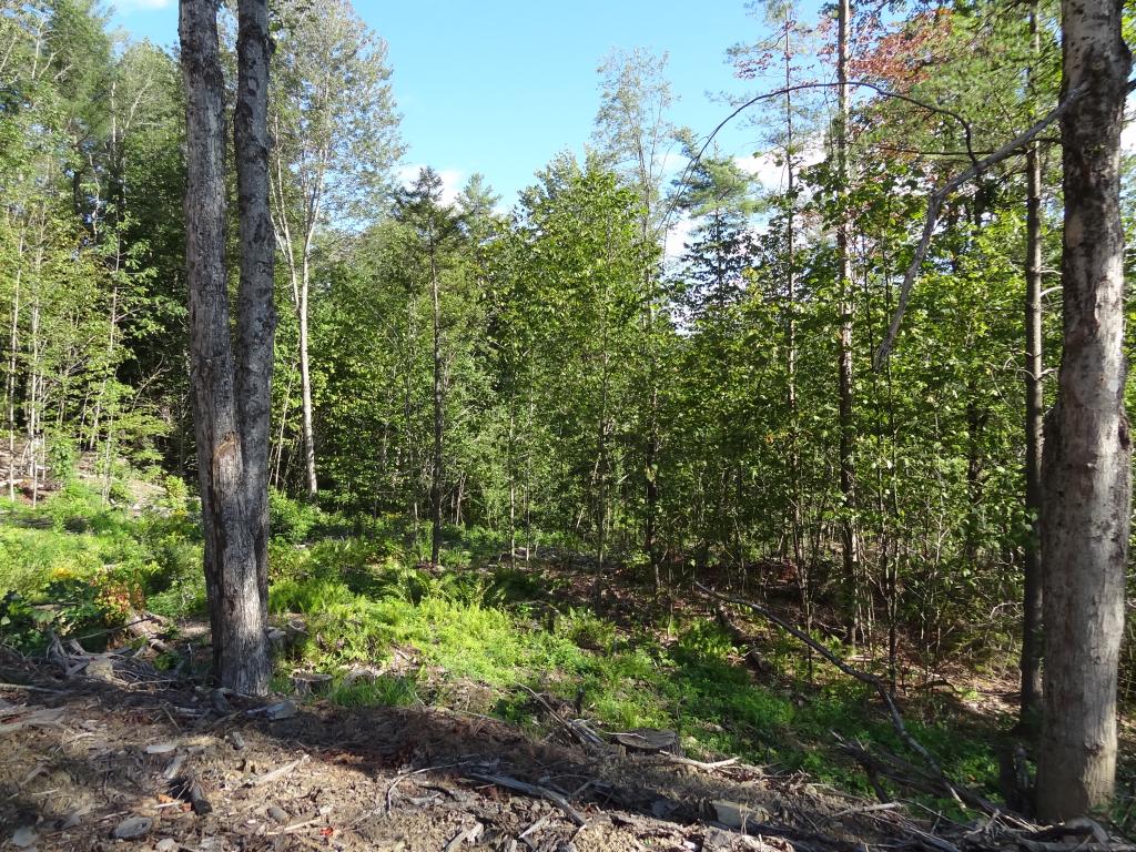 527 Baker Hill Road Bridgewater, VT 05035 - Photo 4 of 16