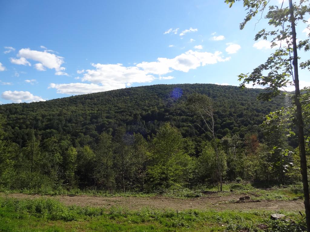 527 Baker Hill Road Bridgewater, VT 05035 - Photo 6 of 16