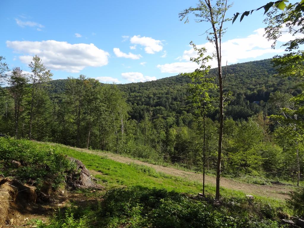 527 Baker Hill Road Bridgewater, VT 05035 - Photo 7 of 16