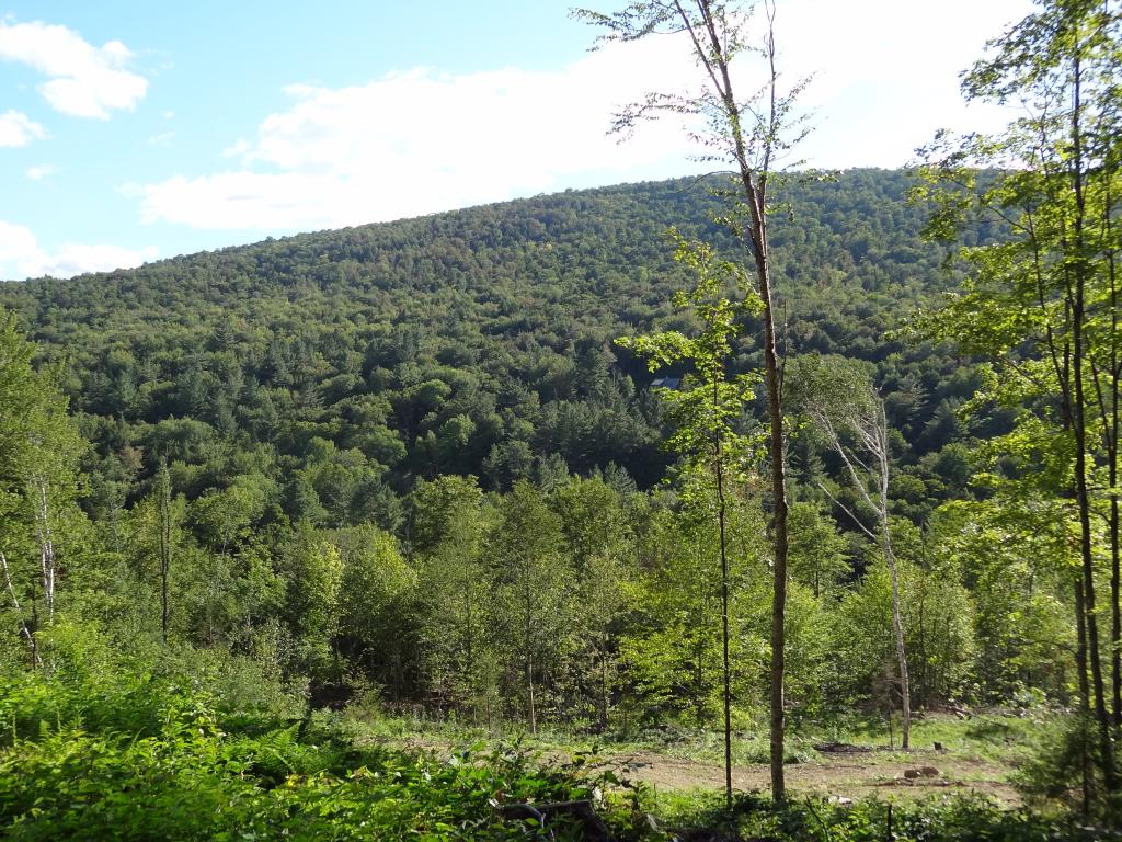 527 Baker Hill Road Bridgewater, VT 05035 - Photo 8 of 16