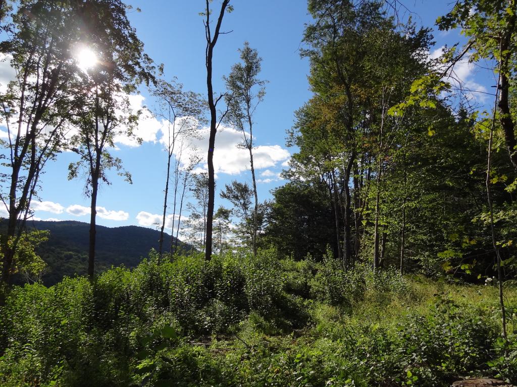 527 Baker Hill Road Bridgewater, VT 05035 - Photo 9 of 16