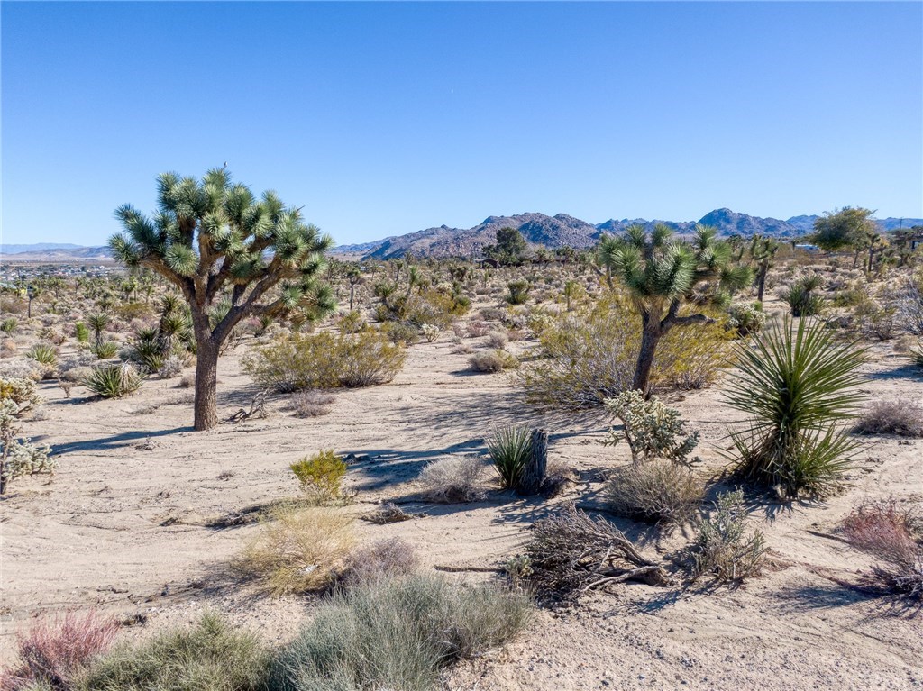 1234 Juniper Road Joshua Tree, CA 92252 - Photo 1 of 1