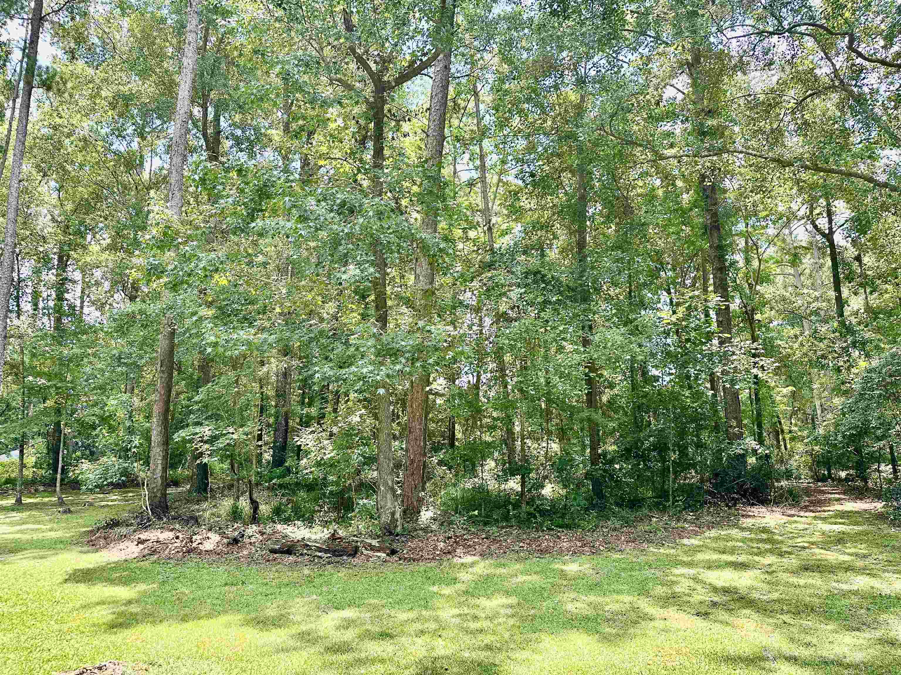 14200 Red Hawk Road Tallahassee, FL 32312 - Photo 2 of 31 Gallery Image 2