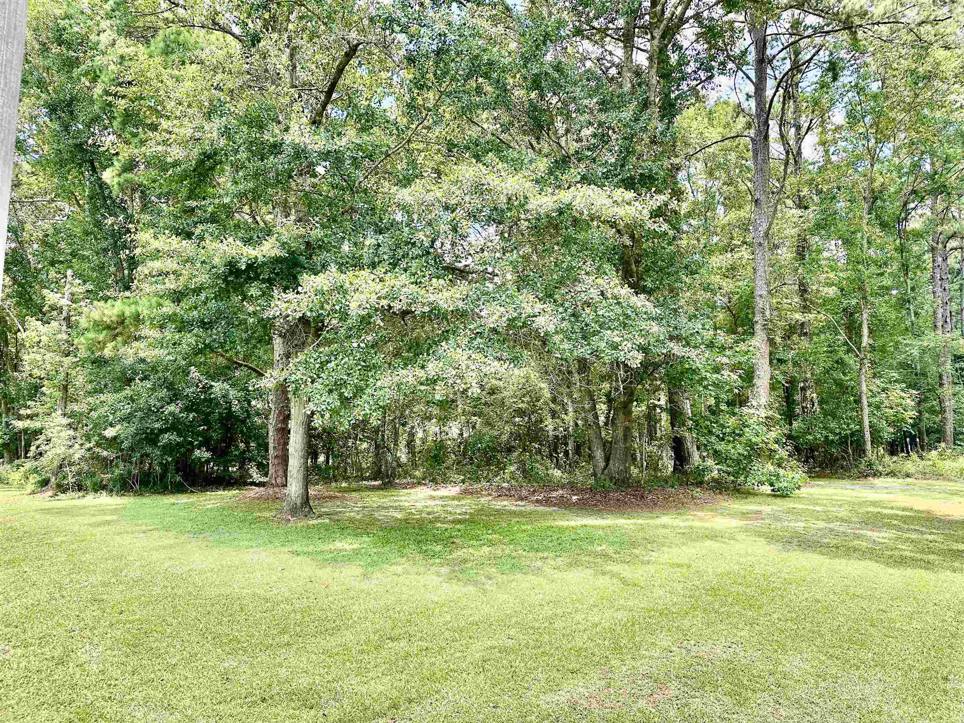 14200 Red Hawk Road Tallahassee, FL 32312 - Photo 30 of 31 Gallery Image 30