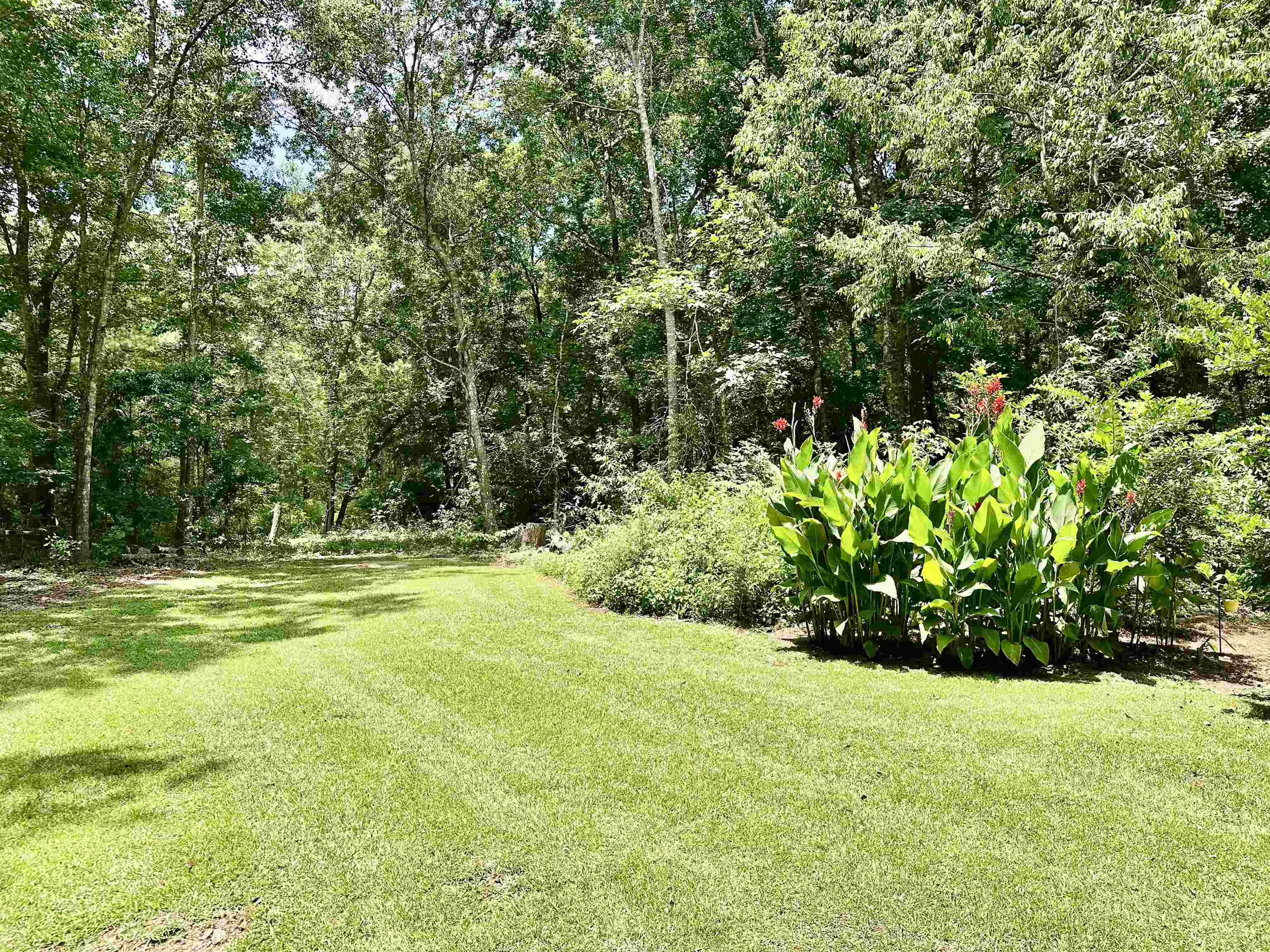 14200 Red Hawk Road Tallahassee, FL 32312 - Photo 3 of 31 Gallery Image 3