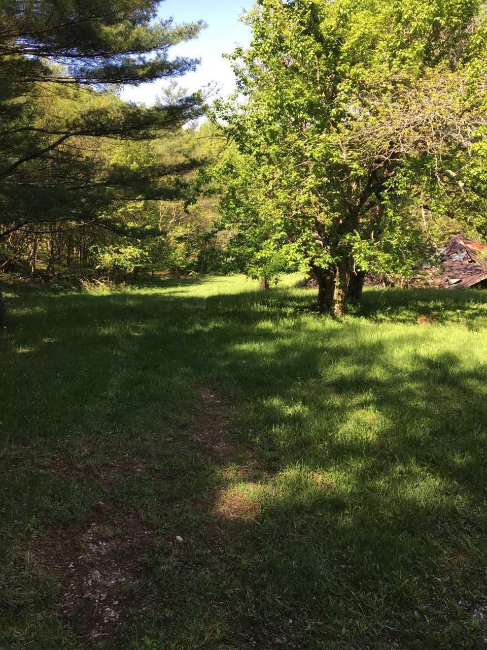 210 Chestnut Level Road Southeast Copper Hill, VA 24079 - Photo 11 of 15 a view of yard with green space