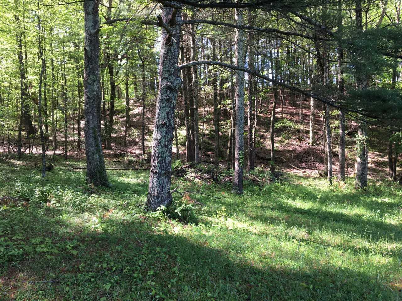210 Chestnut Level Road Southeast Copper Hill, VA 24079 - Photo 12 of 15 a view of yard with green space