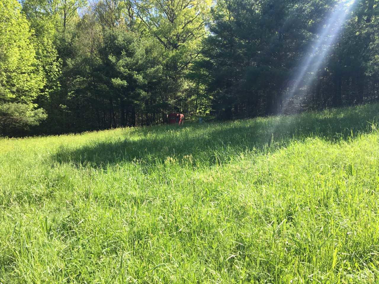 210 Chestnut Level Road Southeast Copper Hill, VA 24079 - Photo 13 of 15 a view of a garden with a lake