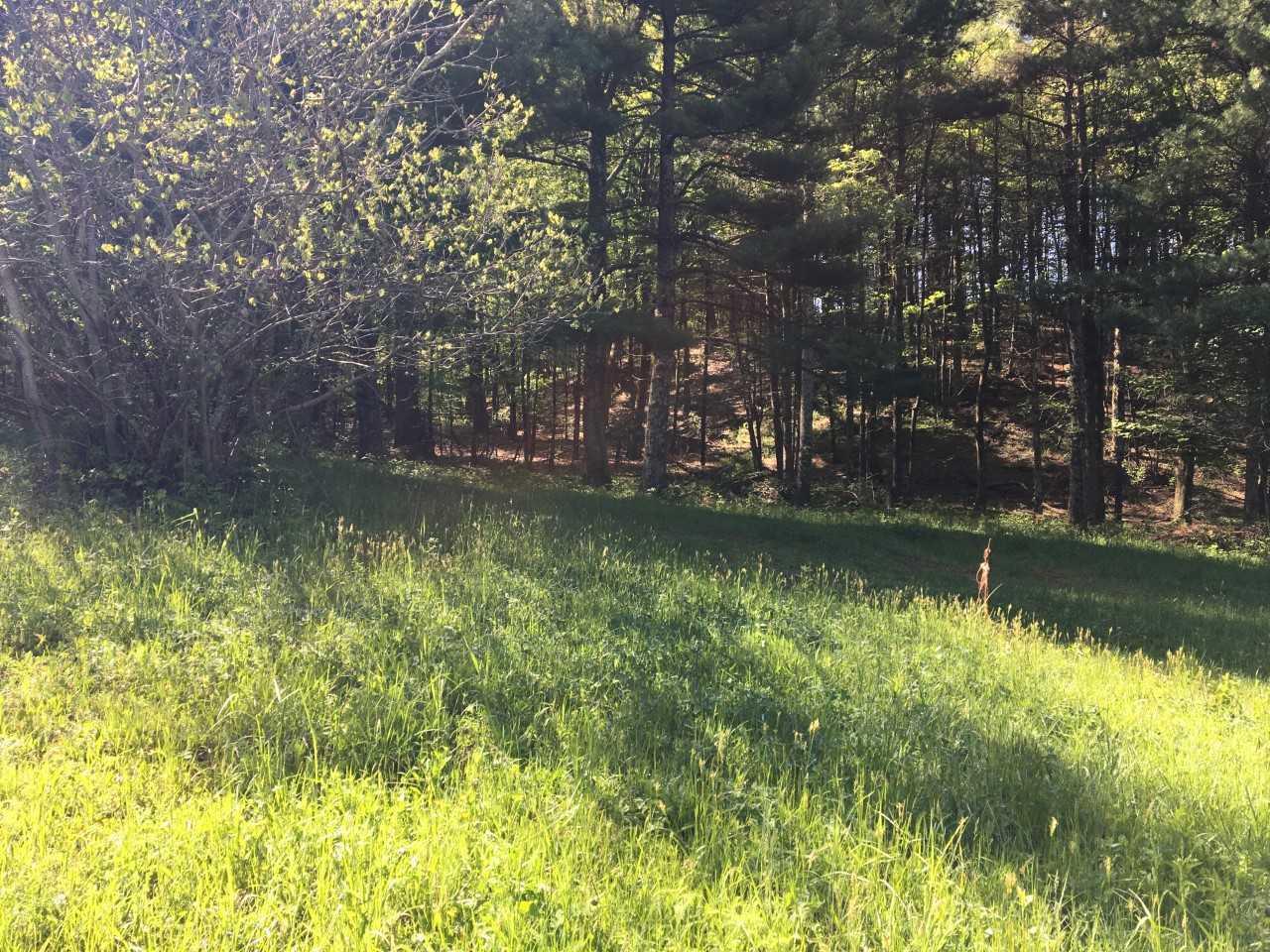 210 Chestnut Level Road Southeast Copper Hill, VA 24079 - Photo 14 of 15 a view of swimming pool with a yard