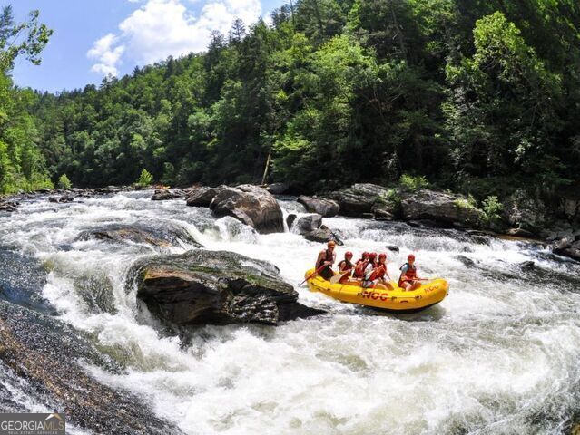 0 Forest Canopy Way, Unit 2 Clayton, GA 30525 - Photo 14 of 14 local whitewater rafting