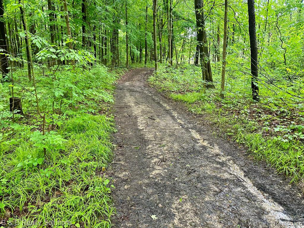 0 South Lake Pleasant Road Metamora, MI 48455 - Photo 22 of 32