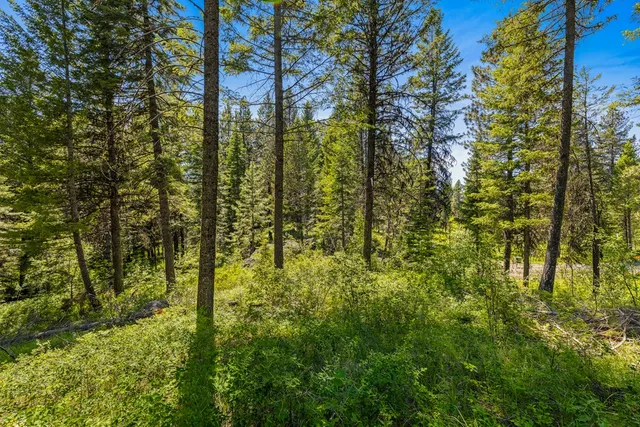 $199,000 | 10 Collins Court, Unit 5, McCall, ID 83638