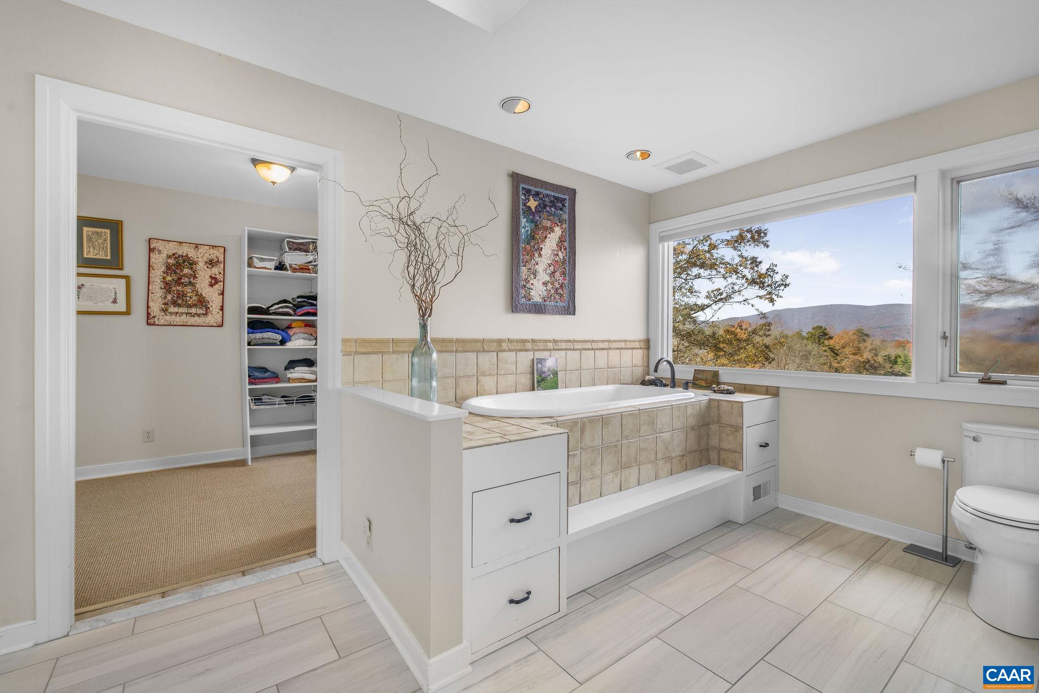 407 Broad Axe Road Charlottesville, VA 22903 - Photo 43 of 57 a bathroom with a bathtub sink and mirror