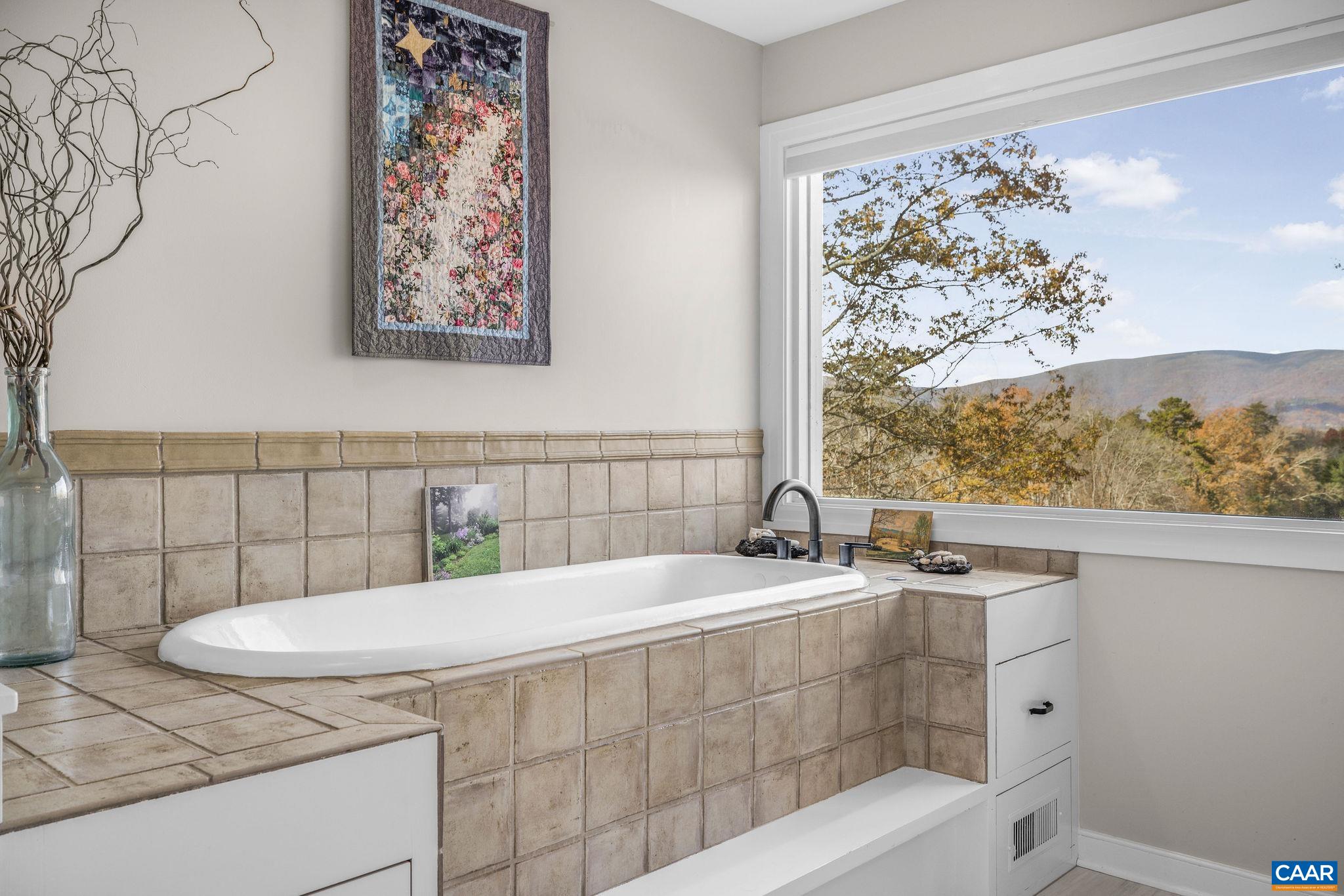 407 Broad Axe Road Charlottesville, VA 22903 - Photo 44 of 57 a bathroom with a sink and a mirror