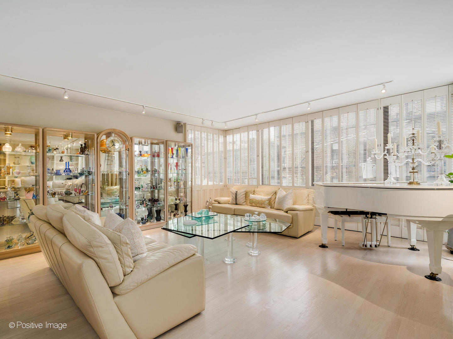 100 East Bellevue Place, Unit 3E Chicago, IL 60611 - Photo 11 of 41