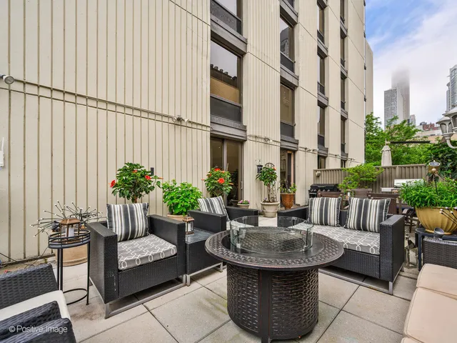 a view of a patio with couches and a potted plant