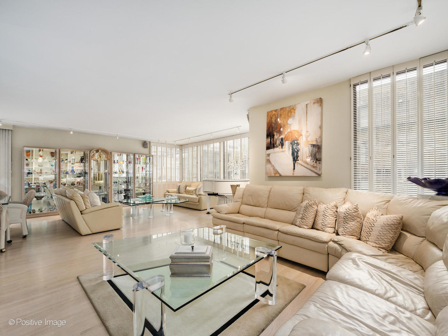 100 East Bellevue Place, Unit 3E Chicago, IL 60611 - Photo 5 of 41