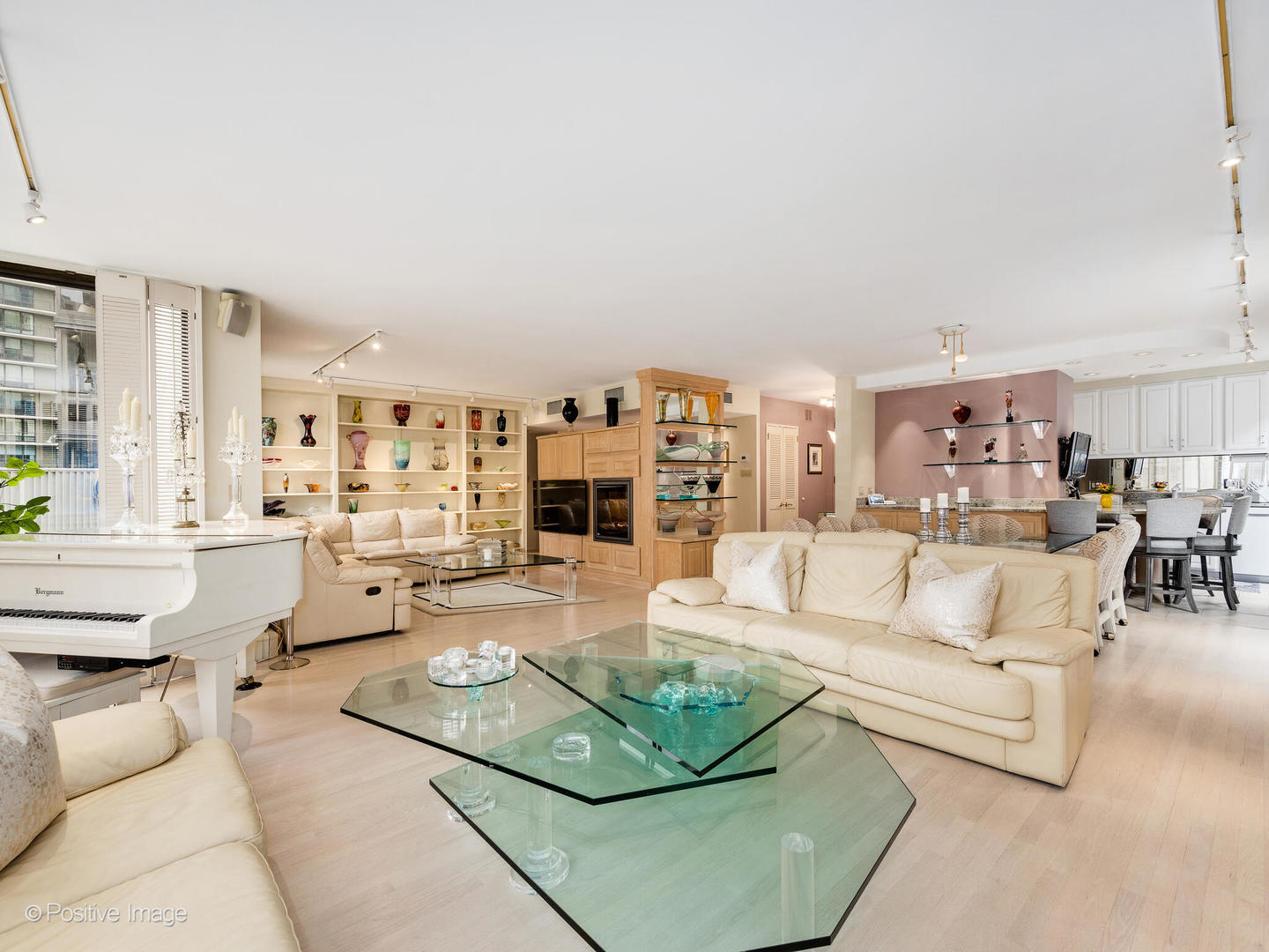 100 East Bellevue Place, Unit 3E Chicago, IL 60611 - Photo 7 of 41