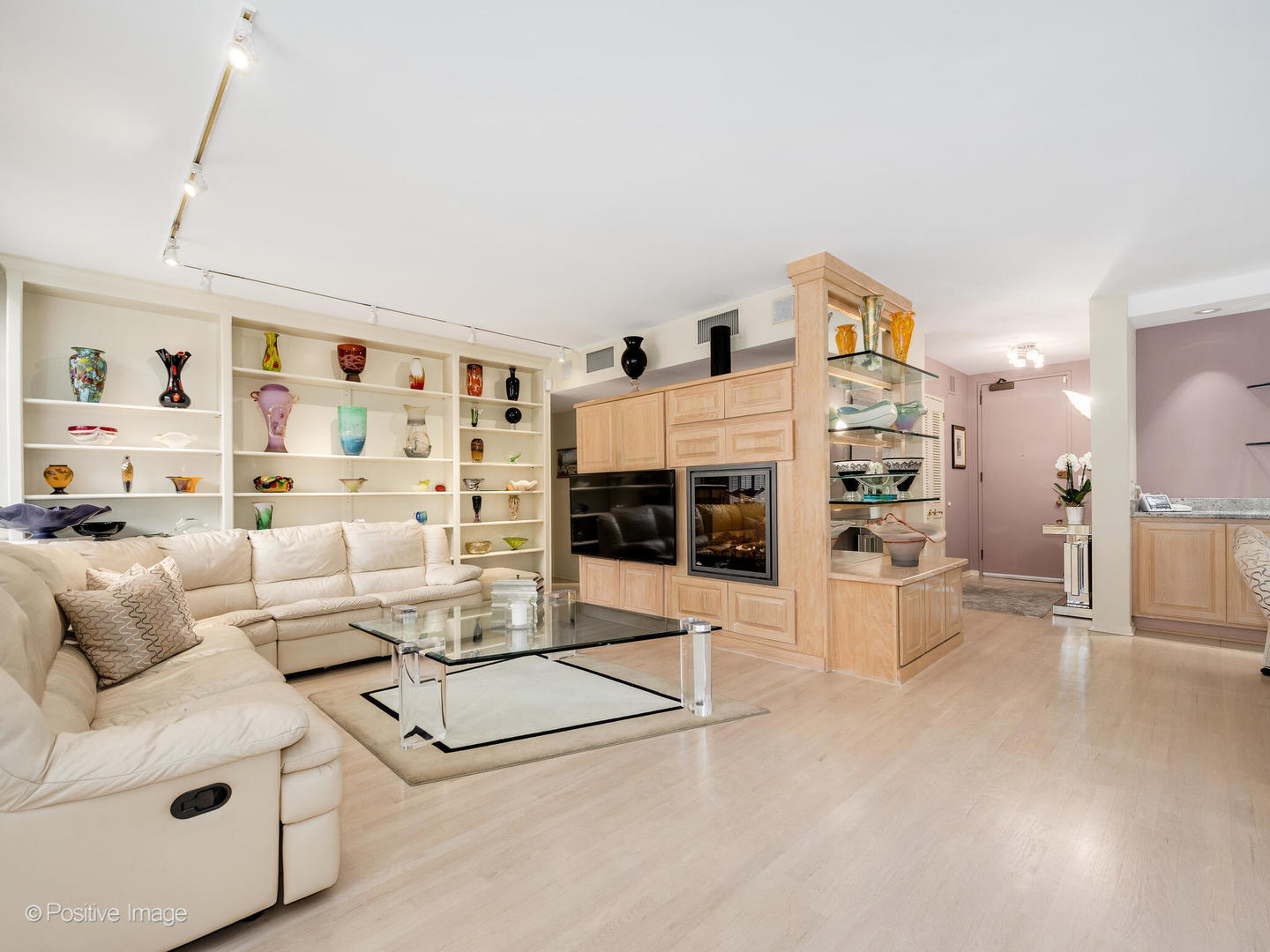 100 East Bellevue Place, Unit 3E Chicago, IL 60611 - Photo 9 of 41