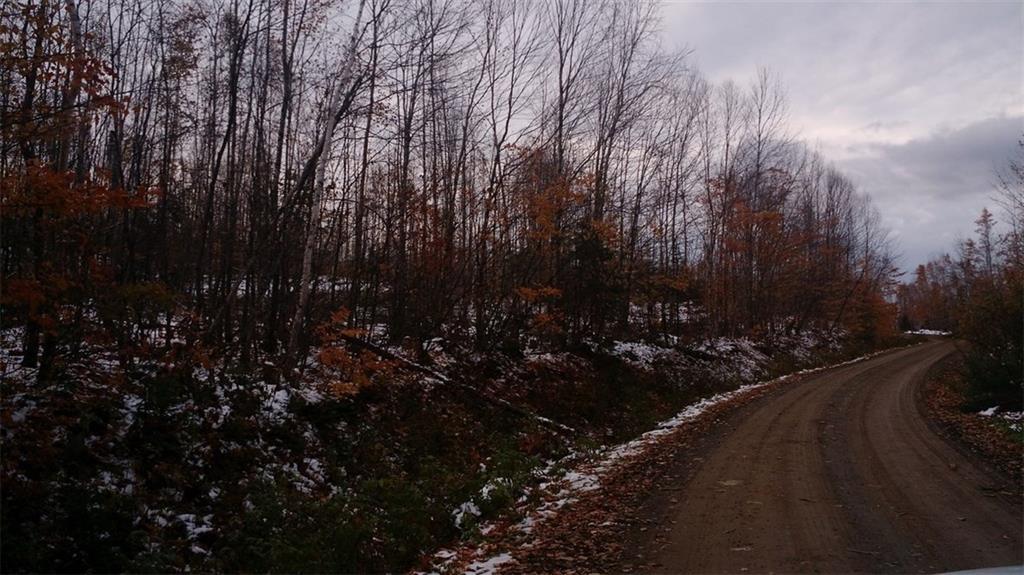 Lot 16 West Off Ackley Pond Rd Mount Mount Chase, ME 04765 - Photo 6 of 8 Photo