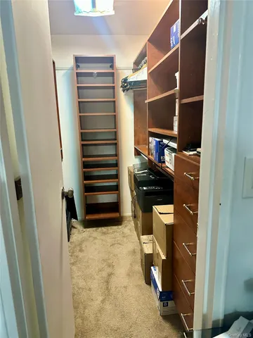 a view of walk in closet