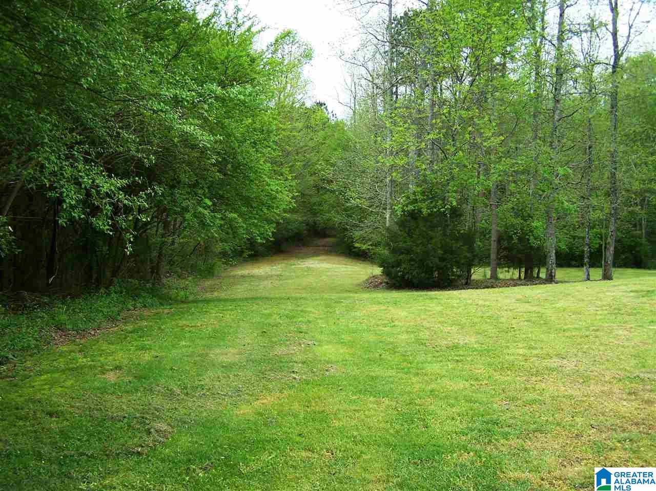 16 Daileys Chapel Road Oneonta, AL 35121 - Photo 50 of 50