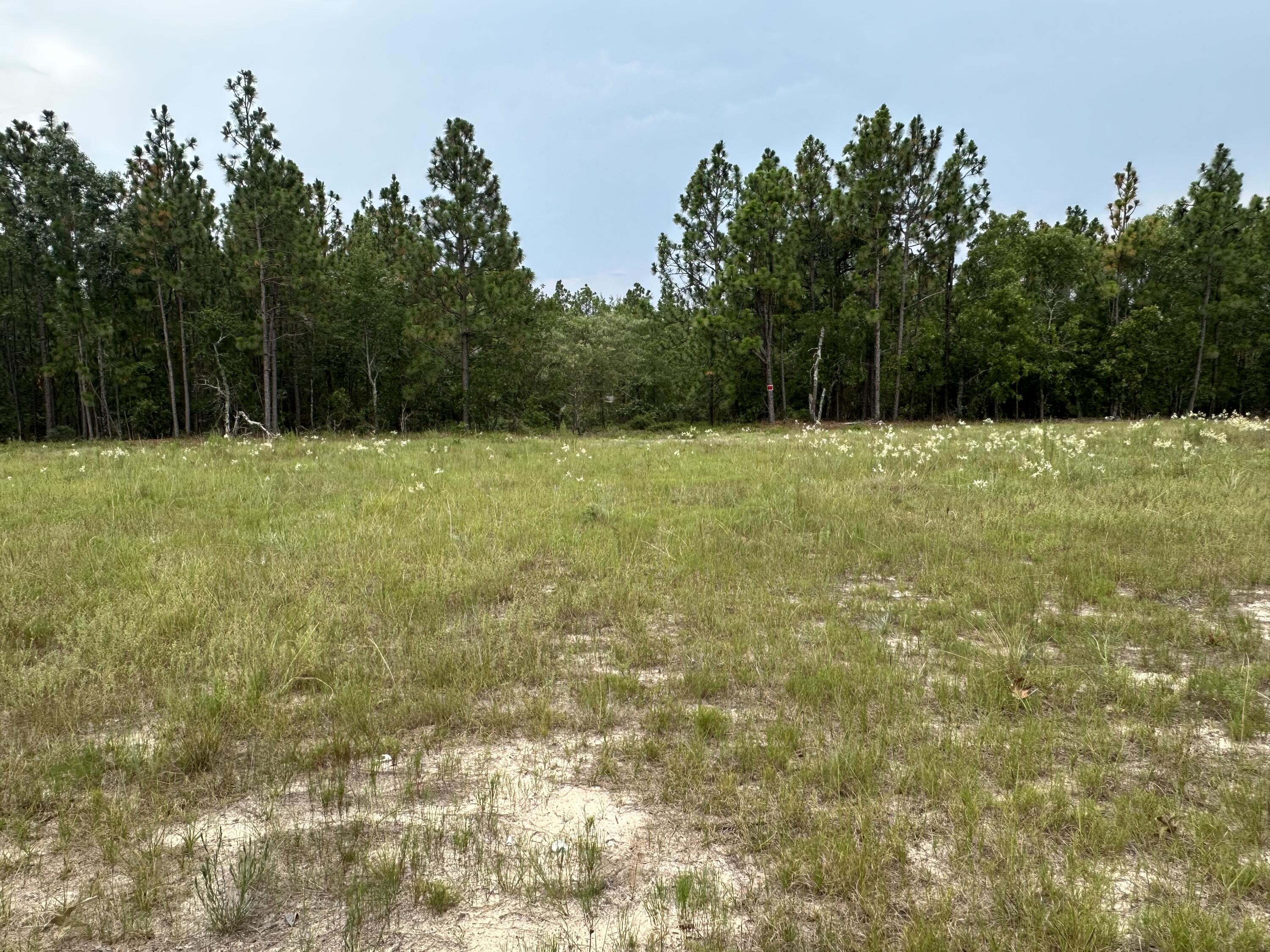 2070 Greenland Road Blythe, GA 30805 - Photo 2 of 4 IMG_6013