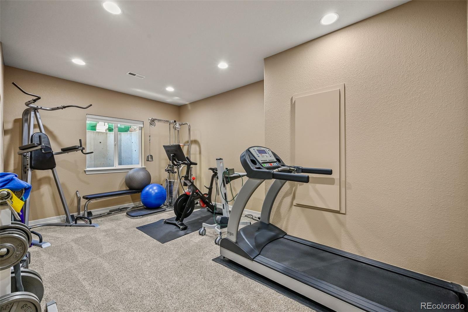 10123 Mockingbird Lane Highlands Ranch, CO 80129 - Photo 33 of 43